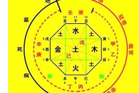 八字喜土的建议|八字喜土是什么意思